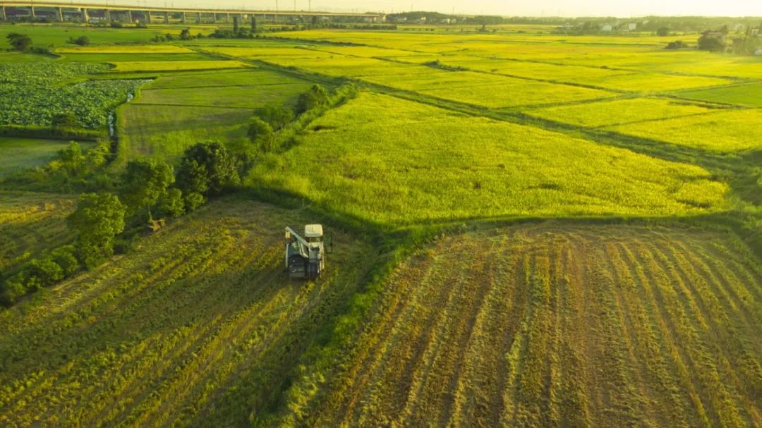 俄罗斯专享会294(中国游)官方网站