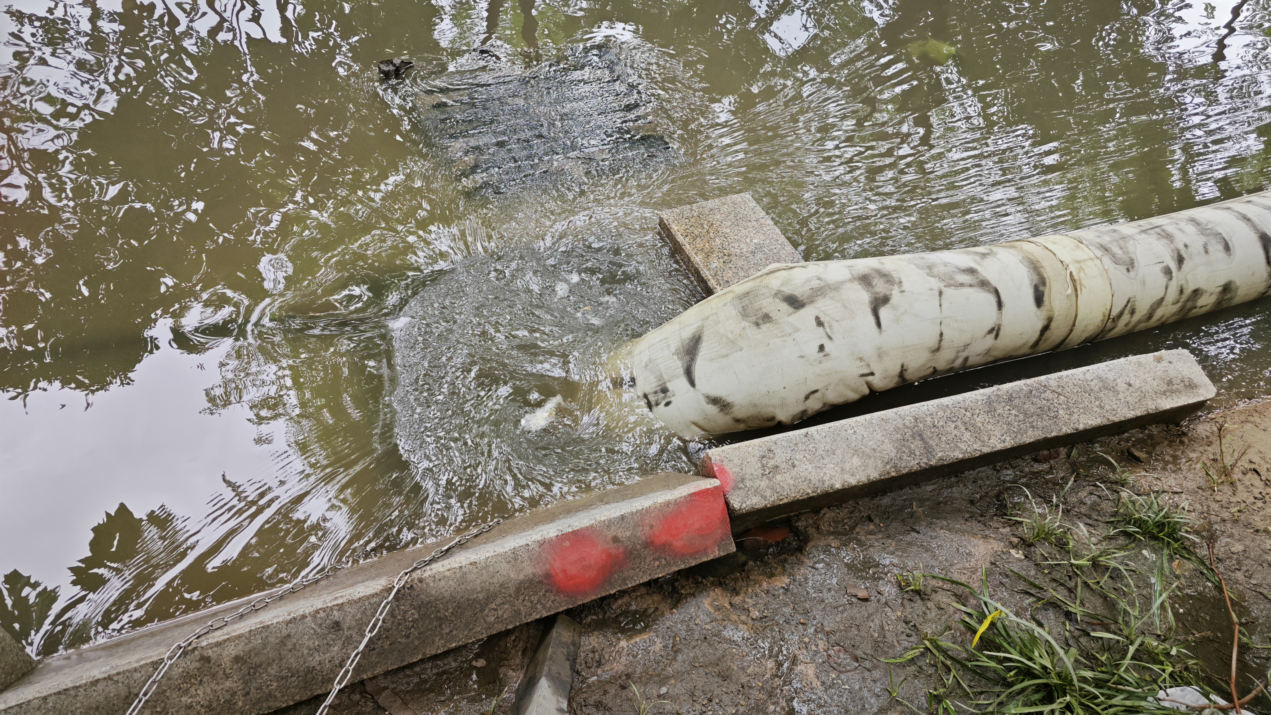 俄罗斯专享会294(中国游)官方网站